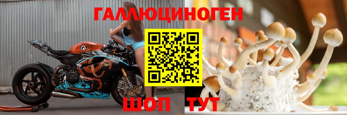 Ревда  Галлюциногенные грибы Psilocybine cubensis  Вход с VPN 